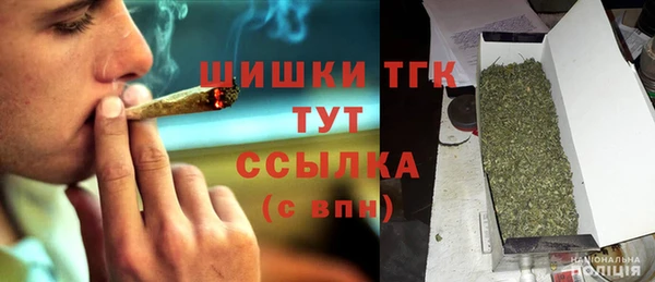 spice Инта