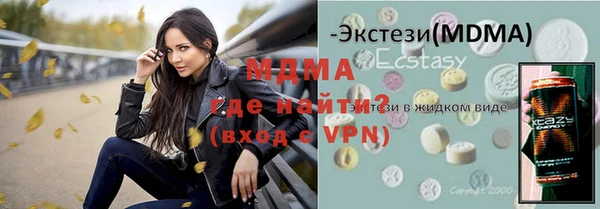 spice Инта
