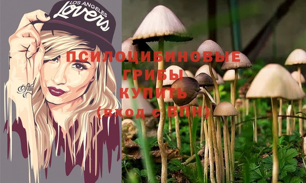 spice Инта