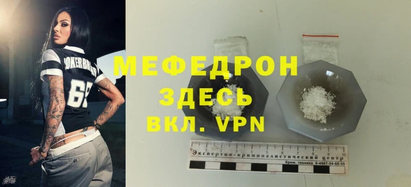 spice Инта