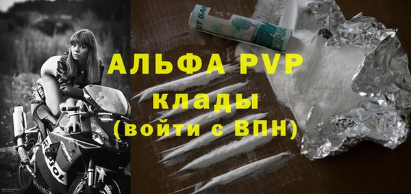 spice Инта