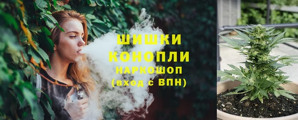 ALPHA PVP Инсар