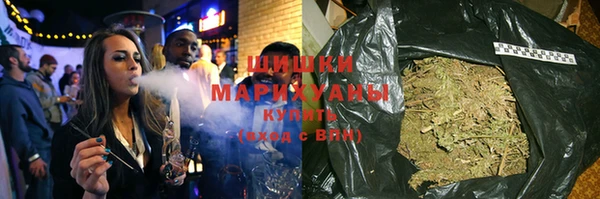 ALPHA PVP Инсар