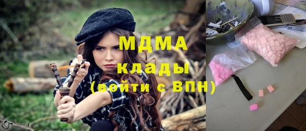 spice Инта