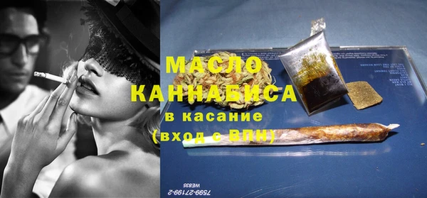spice Инта