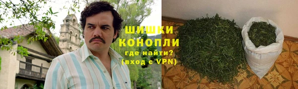 ALPHA PVP Инсар