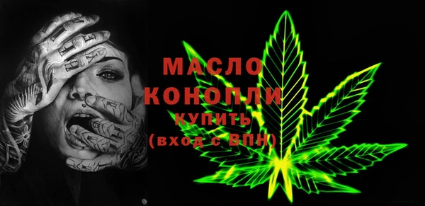 spice Инта