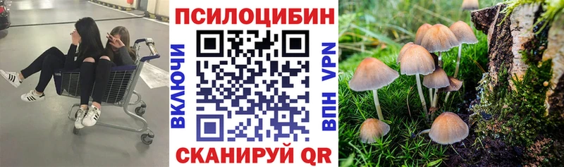 Галлюциногенные грибы мицелий  Купить где  Всеволожск 